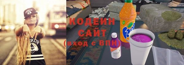 индика Абаза