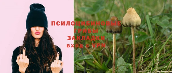 крисы Абинск