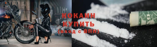 индика Абаза