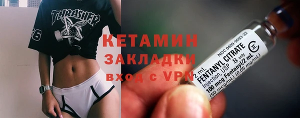 шишки Заволжск