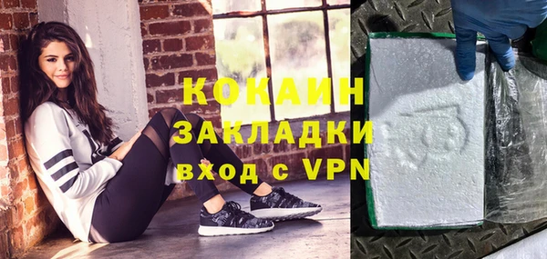 индика Абаза
