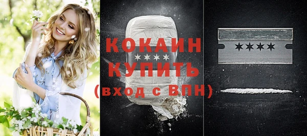 индика Абаза