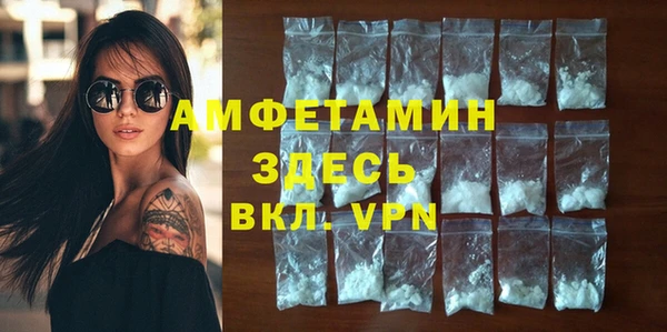 индика Абаза