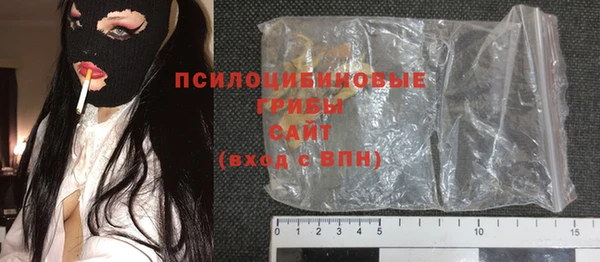 индика Абдулино