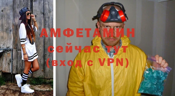 индика Абаза