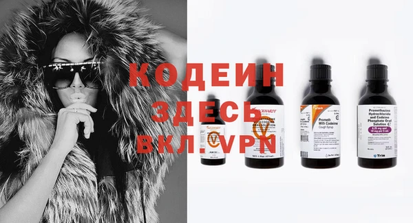 индика Абаза