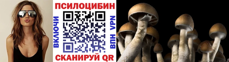 Галлюциногенные грибы мицелий  Энем 