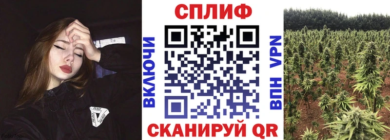 маркетплейс телеграм  Энем  Шишки марихуана тримм  где продают  